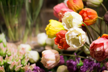 tulipani amsterdam mercato galleggiante fiori