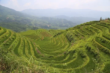 Foto op Plexiglas Dragon Backbone Rice Terraces in China © Fike2308