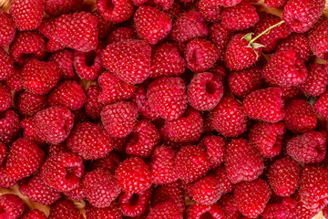 Fresh and sweet raspberries background