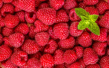 Fresh and sweet raspberries background