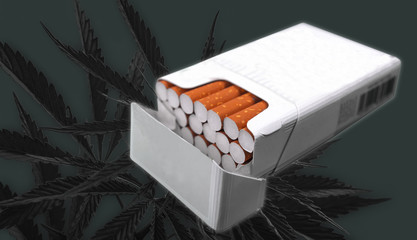  Cannabis, marijuana drug. A hemp leaf in his hand. Cigarette, smoke.