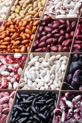 Different types of legumes beans. In wooden box.Varieties of beans.Small red bean,Scarlett runner bean Phaseolus coccineus ,butter bean,kidney bean,pinto and other sorts of beans.Top view.Texture