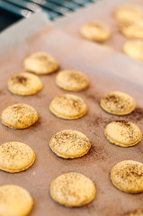 Freshly baked, yellow French Macaron with passion fruit flavor dusted with cocoa powder on silicone mat at baking workshop in France