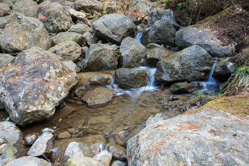 Small stream and rocks at spring forest