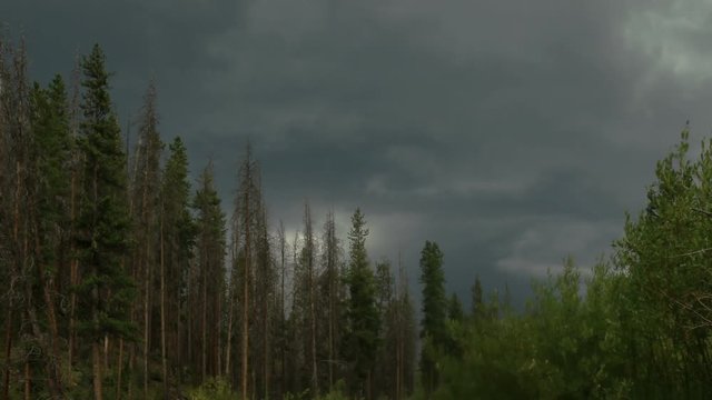 Storm clouds moving over mountain forest - time lapse