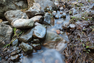 Obraz premium Small stream and rocks at spring forest
