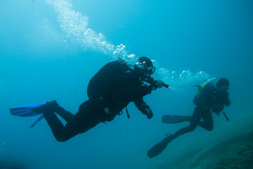 divers in immersion near the reef