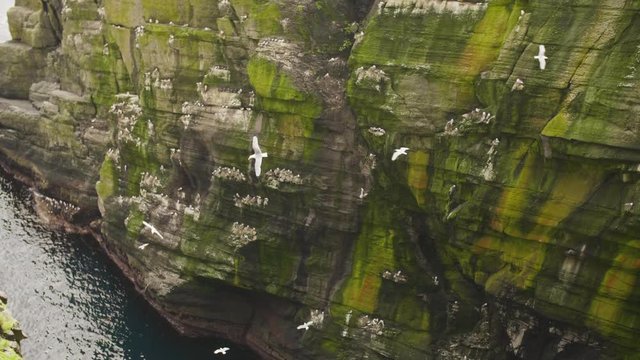 High Angle View Of Seabirds Perching On Skellig Michael