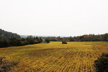 Fototapeta premium Beautiful Scenery of Jeju Island / Scenery Picture of Jeju Island, Korea