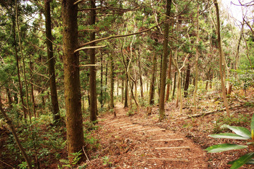 Beautiful Scenery of Jeju Island / Scenery Picture of Jeju Island, Korea