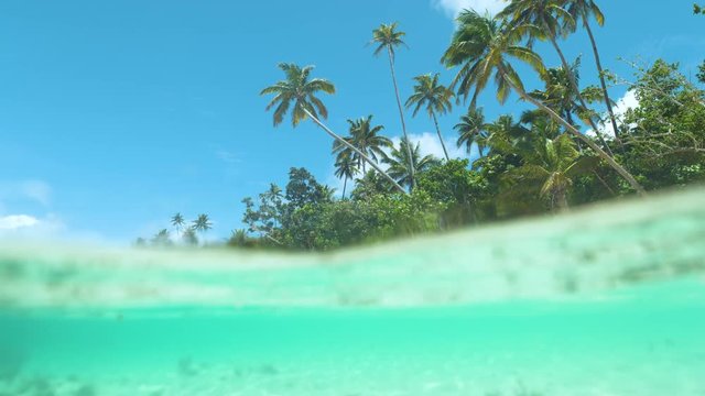 SLOW MOTION, HALF UNDERWATER: Tall palm trees stretch over the emerald waves on sunny day. Breathtaking shot of stunning turquoise ocean water gently moving towards tropical beach on remote island.