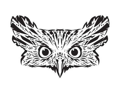 Owl vector 