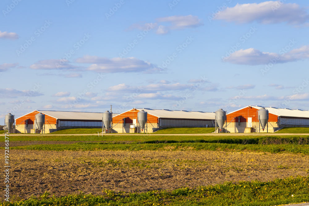 Wall mural american farmland with blue sky