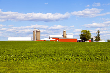 American Farmland With Blue Sky