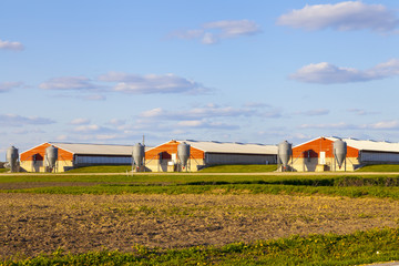 Fototapeta na wymiar American Farmland With Blue Sky