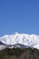 雪景色の白馬村と北アルプス