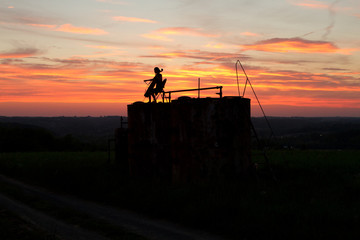 Obraz na płótnie Canvas woman playing cello music in a sunset 