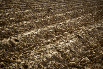 Preparation of soil for cultivation
