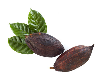 cocoa pods with Cocoa leaf