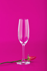 Wine glass with rose flower on pink background