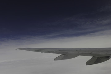Obraz premium Wing in flight