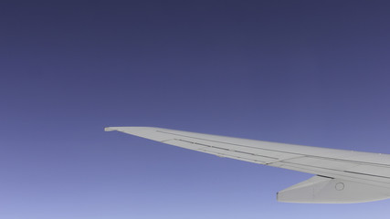 Fototapeta na wymiar Wing in flight