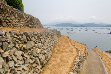 四国愛媛県宇和島市遊子水荷浦愛媛段々畑