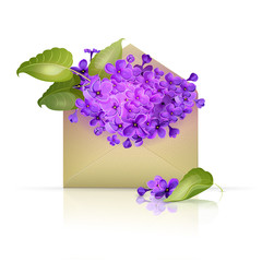 Paper envelope filled with lilac flowers