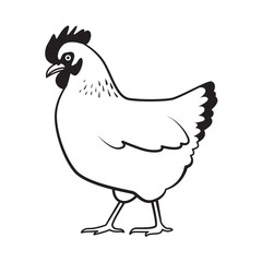 graphic chicken, vector