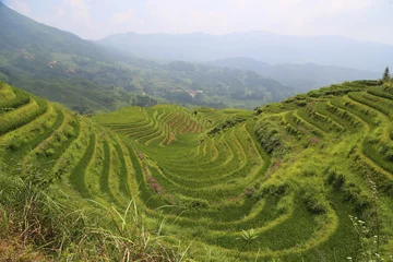 Fotobehang Dragon Backbone Rice Terraces in China  © Fike2308