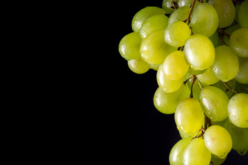 green grapes on a black background