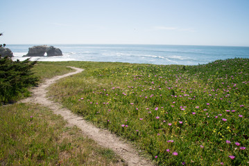 Natural Bridges Santa Cruz CA