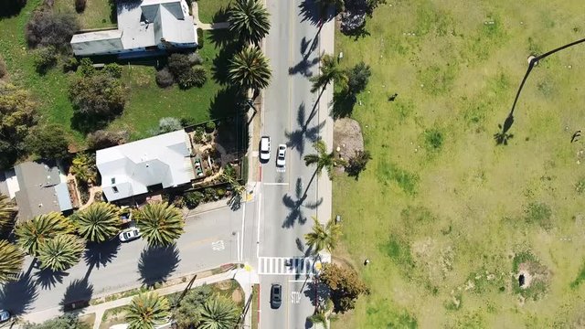 Aerial Drone Flyover - Downward pan down palm tree lined street with cars and homes