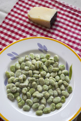 broad beans and roman pecorino for 1st may day