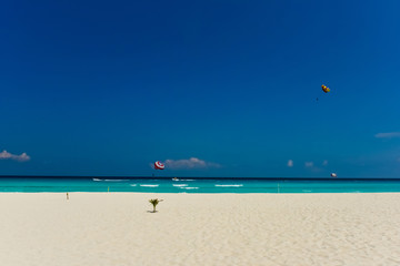 Cancun Beach and Parasailing (Horizontal)