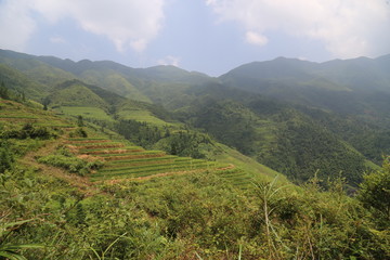 Fototapeta na wymiar Dragon Backbone Rice Terraces in China 