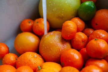 citrus fruits in a kitchen sink