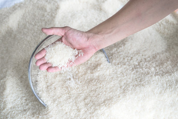 Thai jasmine rice production is good quality grade A well selected processed holding hand the popular food of Thailand.