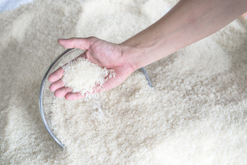 Thai jasmine rice production is good quality grade A well selected processed holding hand the...