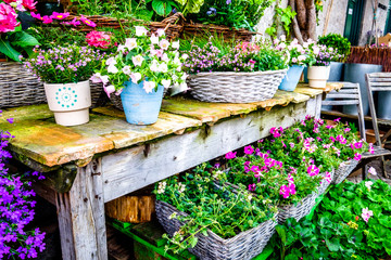flowers at an old stairway