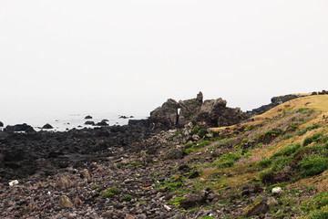 Beautiful Scenery of Jeju Island / Scenery Picture of Jeju Island, Korea