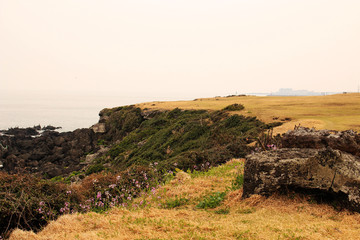 Obraz premium Beautiful Scenery of Jeju Island / Scenery Picture of Jeju Island, Korea
