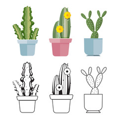 Hand drawn cartoon flat cactus set