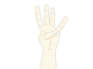 abstract hand draw doodle watercolor hand show four finger isolate on white background, finger language, illustration
