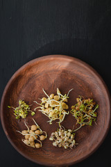 seed sprouts and legumes healthy eating