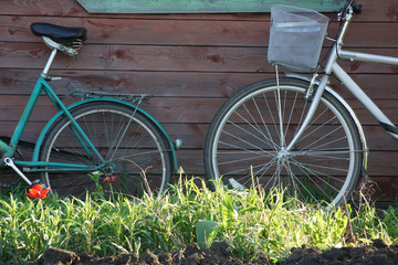 Fototapeta na wymiar two bicycles in the garden at the house in the summer