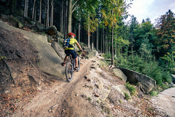 Obraz premium Mountain biker riding cycling in autumn forest