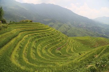 Fototapeta premium Dragon Backbone Rice Terraces in Guilin, China