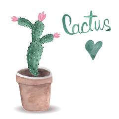Watercolor cactus. Bright green. Thorny plant. For print on clothes, postcard. For your design. 