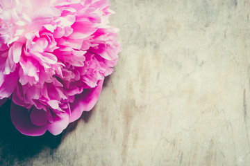 vintage background with peony flowers